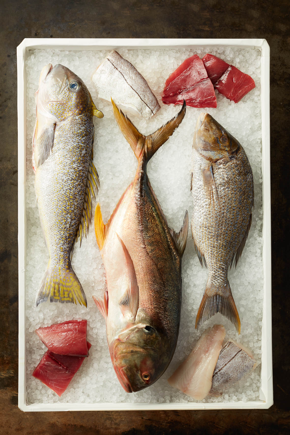 FultonFishMarketCSF