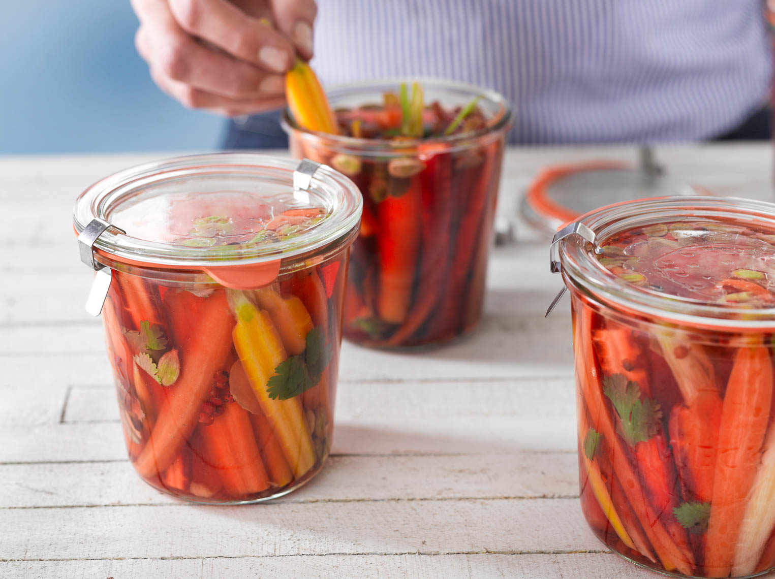 HomemadePicklesMadeWithAssortedHeirloomCarrots18511